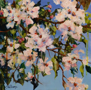 Sharon Lynn Williams - Appleblossoms