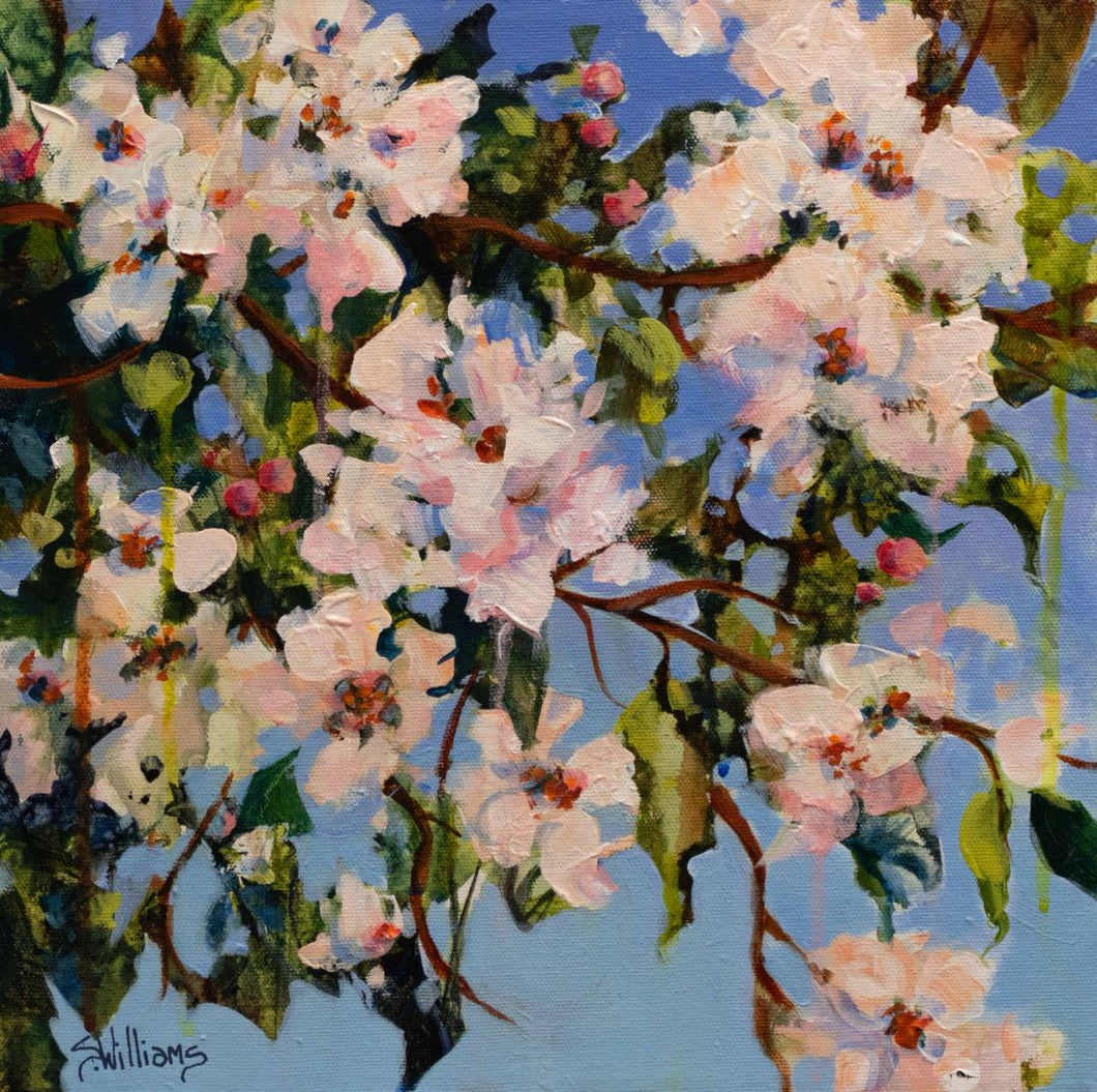 Sharon Lynn Williams - Appleblossoms
