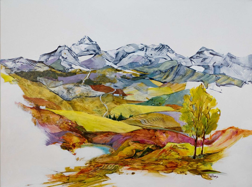 Sharon Lynn Williams - Overlapping Histories