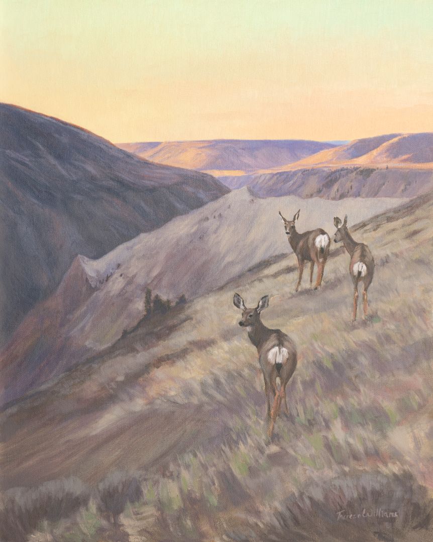 Theresa Williams - All My Relations