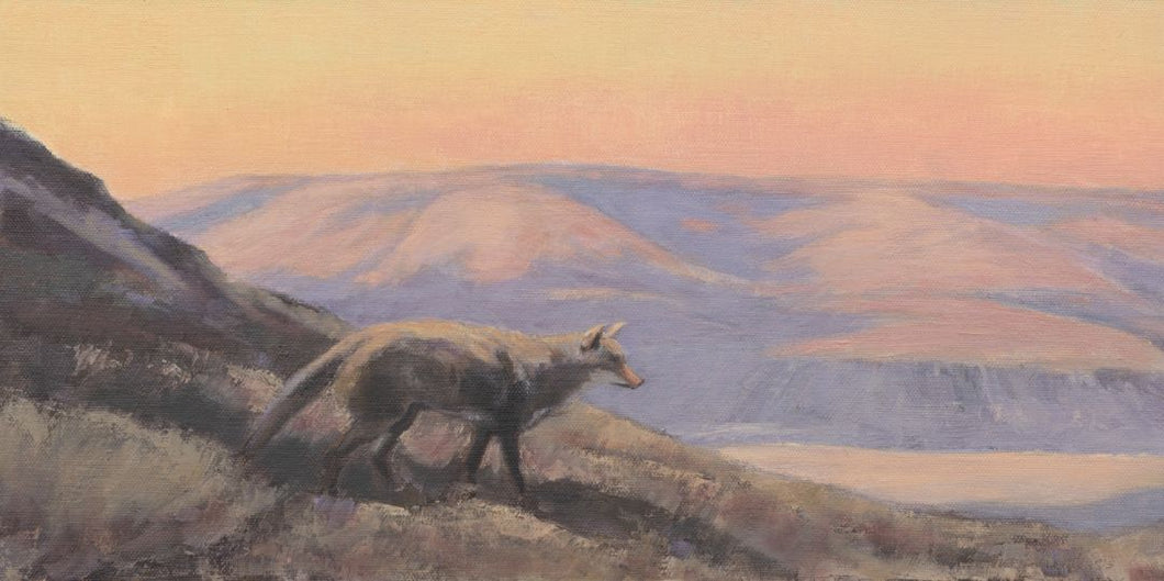 Theresa Williams - Coytote Tales