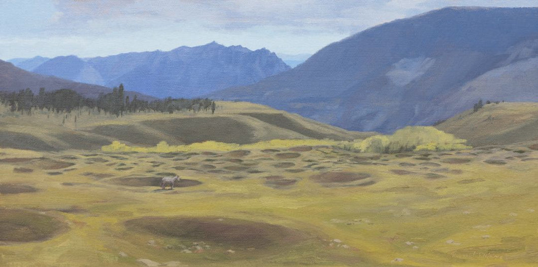 Theresa Williams - Keatley Creek