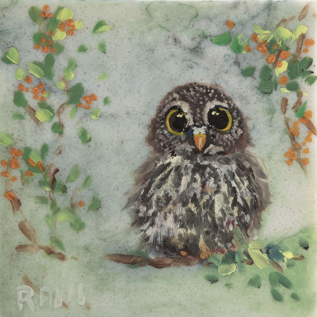 Rani Crawford - Owl 1