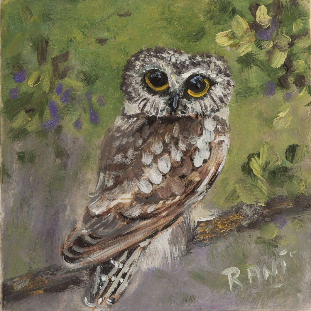 Rani Crawford - Owl II
