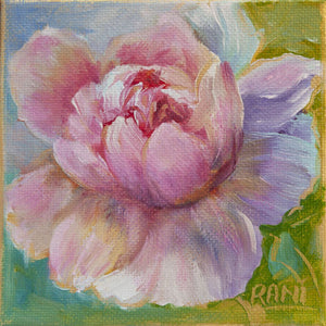 Rani Crawford - Pink Rose