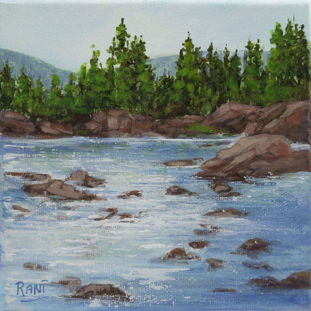 Rani Crawford - Summer Trees and Lake