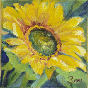 Rani Crawford - Sunflower