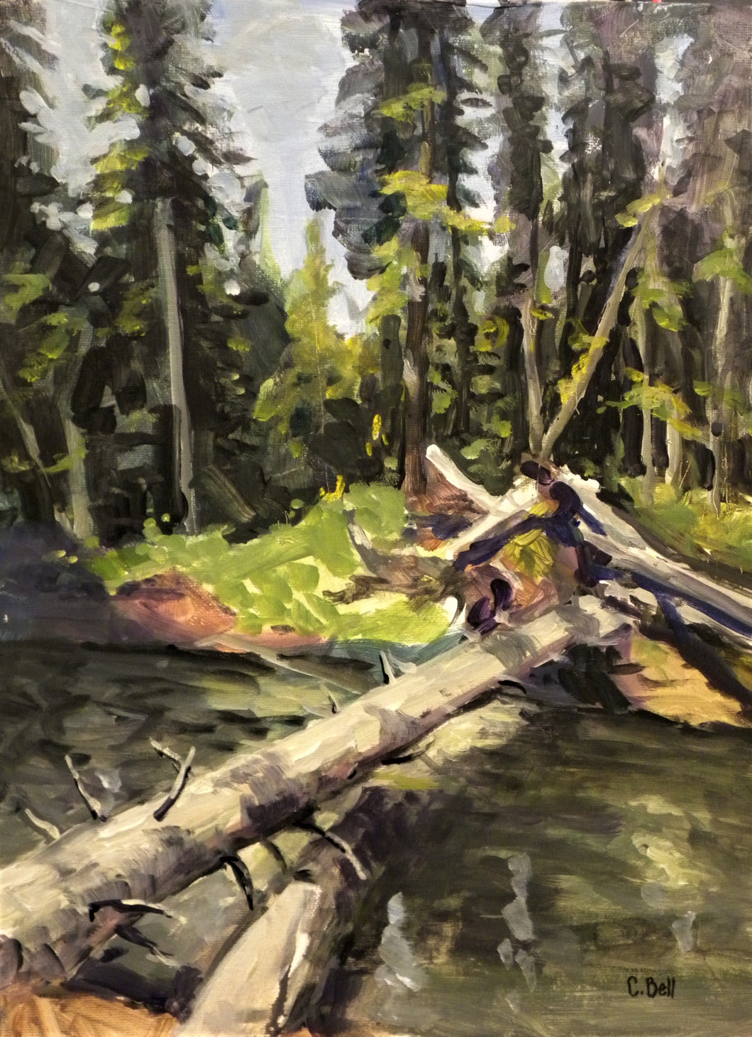 Colin Bell - Forty Mile Creek Deadfall